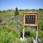 ����̨��